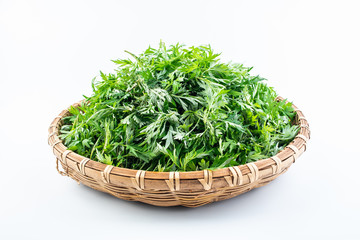Fresh green edible wormwood leaves