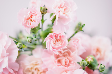Obraz na płótnie Canvas Beautiful pink carnations flowers on a light background