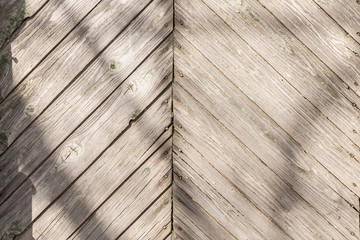 Wood texture, abstract wooden background. Natural grey board old in rustic style