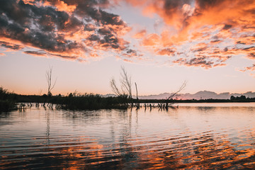 Evening lake