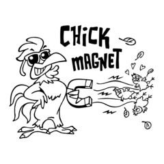 Rooster with sunglasses holding a big magnet attracting three yellow chicks, text chick magnet, black and white cartoon © Zdenk