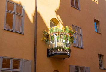 Narcissus in balcony at Stockholm old town (gamla stan). Spring in Sweden capital.