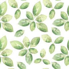Watercolor seamless pattern with aromatic basil leaves. Top view of culinary seasoning. Backdrop for recipe book. Hand drawn background for packaging design, fabric, menu.