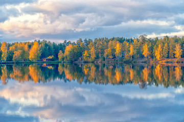 Autumn forest with colored leaves by the lake
