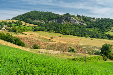 Fototapeta na wymiar Summer landscape near Bagno di Romagna, in the Appennino