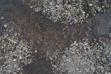 creek, river, shallow water, water and stones