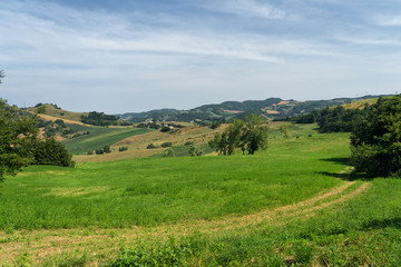 Summer landscape near Bagno di Romagna, in the Appennino