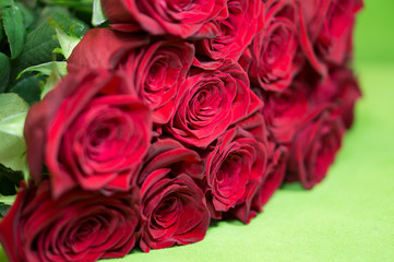 Beautiful red roses on a green background. Beautiful rose. Beautiful bouquet. Red Rose.