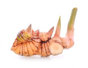 Galangal isolated on white background