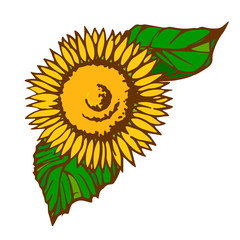 ひまわり　イラスト　素材