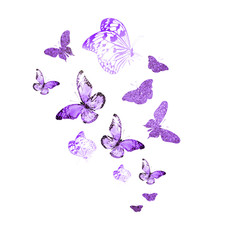 Flock of silhouette butterflies on white