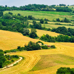 Summer landscape near Meldola, in the Appennino