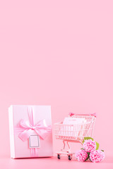 Mother's Day holiday gift design concept, pink carnation flower bouquet with wrapped box, shopping cart, bag, isolated on light pink background, copy space.