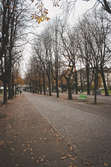 autumn in the park