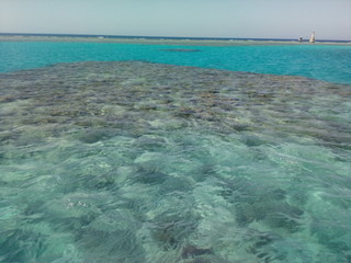 Riff im türkisblauen Meer