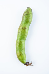 Fresh broad bean pods on white background