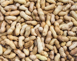 Dry Inshell peanuts texture. Food