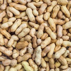 Dry Inshell peanuts texture. Food