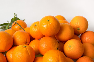 Whole orange fruits heap with leaves and branches isolated on white background. Side view, closeup. Natural vitamin or organic food concept