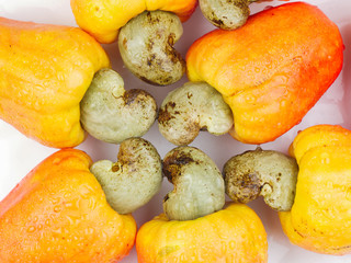 cashew fruit