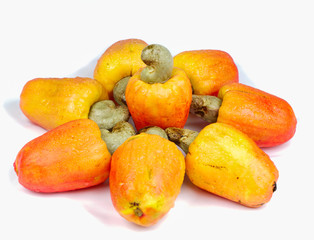 cashew fruit