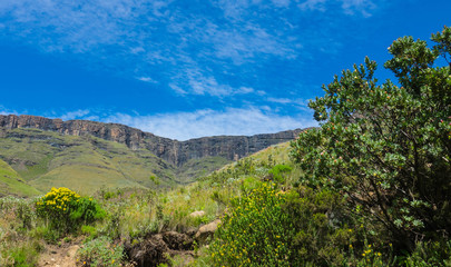 Fototapeta na wymiar South Africa Drakensberg scenic panoramic impressive landscape view, wide panorama with sunny blue sky