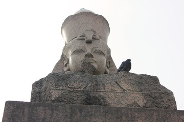Fototapeta premium Egyptian sphinx ancient statue in Saint Petersburg, Russia. Quay with sphinxes mythical old Egypt sculptures in Saint Petersburg city, close up detailed view