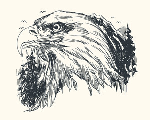  Eagle head sketch with nature background
