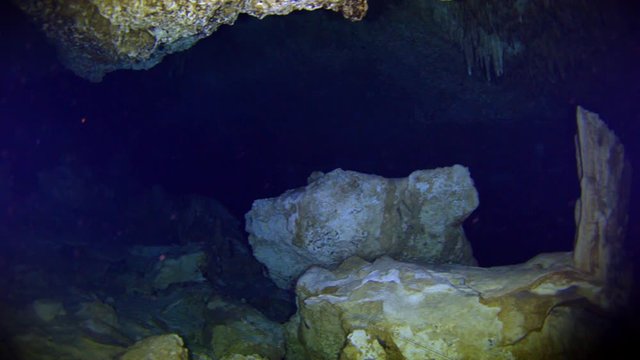 dive into the cenotes, Yucatan, Mexique.