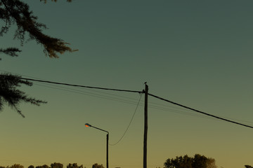 Sunset in the city, Buenos Aires.
