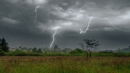 Southern Storm