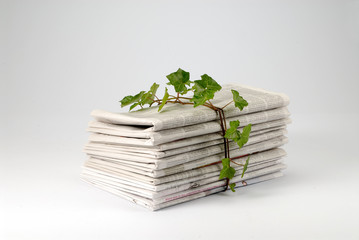 Papier recyclable, préservation de l'environnement