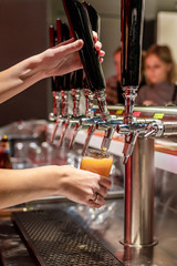 They pour fresh beer. Hands of a female bartender, pouring beer, standing at the bar