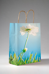 Emballage recyclable, préservation de l'environnement, sac papier