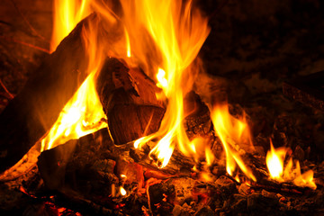 Lighted wood logs in a fireplace. Wood heating. Vegetable combustion heat.