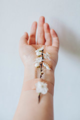Female hands on the hands of green leaves, plaster on the hands. Beautiful hands.