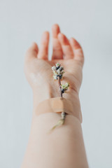 Female hands on the hands of green leaves, plaster on the hands. Beautiful hands.