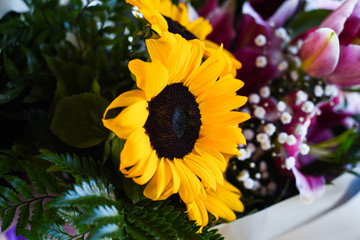fresh natural flowers close up view