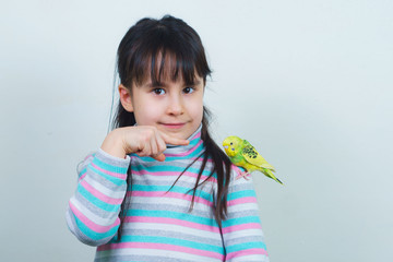 Cool budgie. A cute yellow budgerigar is sitting on the shoulder of a girl with long hair. Tamed Pet