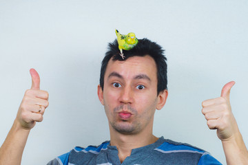 Cool budgie. A cute yellow budgie is sitting on the head of a young man. Tamed Pet