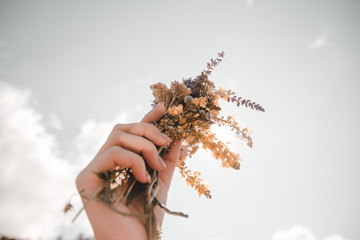 hand holding a bouquet of flowers