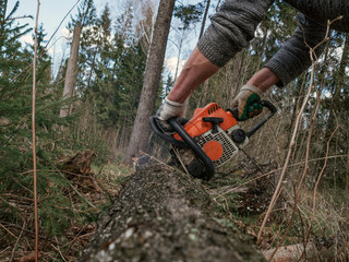 Obraz premium lumberjack cuts down trees with a chainsaw