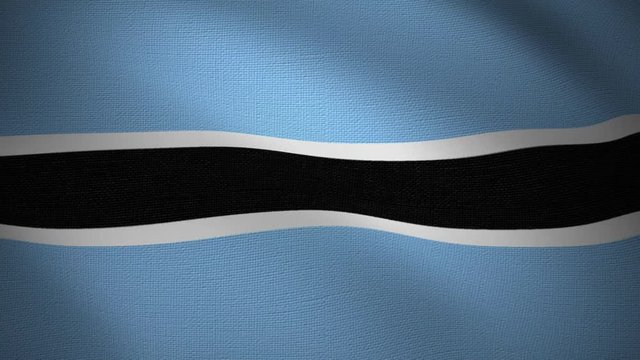 looping video of waving flag of botswana