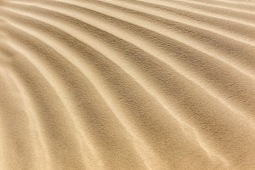 Textures On The Sand Background