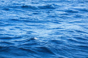 Detail Of The Ripples On The Surface Of The Sea