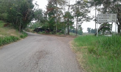 road in the forest Yondó, Puerto Berrio, Antioquia, Colombia.