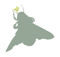 Isolated on white vector bumblebee silhouette