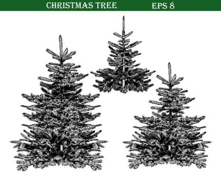 .Set of vintage Christmas trees.Vector illustration in.sketch style. Isolated objects on white background. Clipart.