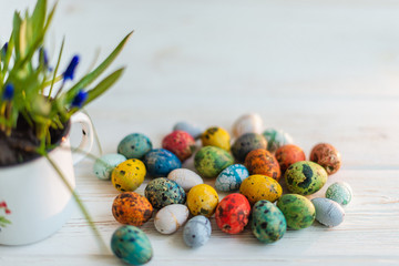 Multi-colored Easter eggs on a white wooden background