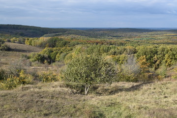 In the grief. Horizon. The Way Home.